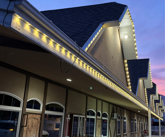 12V RGBW+ & Track Lighting System per Track