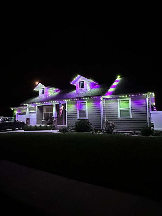 36V RGBW+ & Track Lighting System per Track